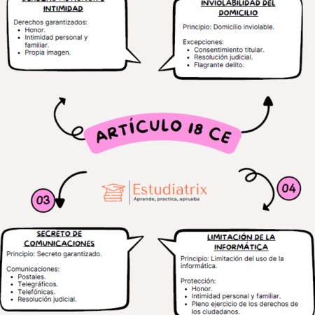 Artículo 8 Constitución Española