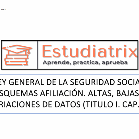 Esquema Ley General de la Seguridad Social Titulo I, Capitulo III, Secc. I