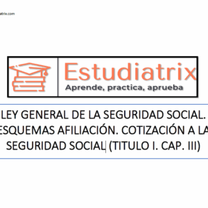 Esquema LGSS: Liquidación y recaudación