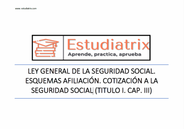 Esquema LGSS: Liquidación y recaudación